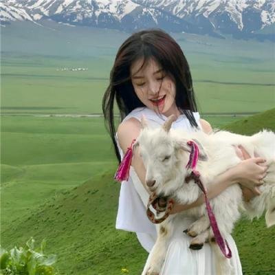 仙履奇缘2：美梦成真