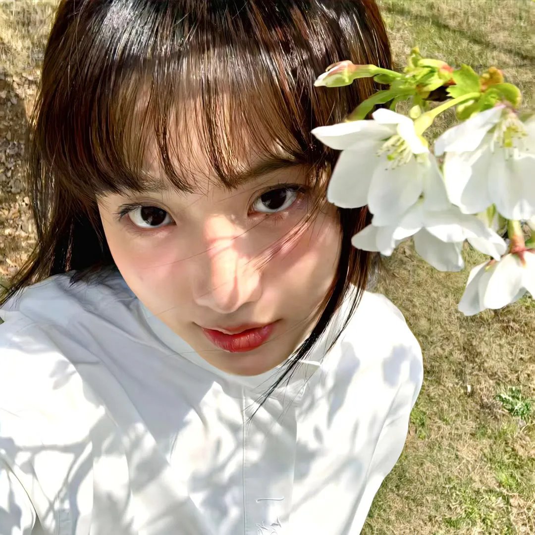 春风满古城
